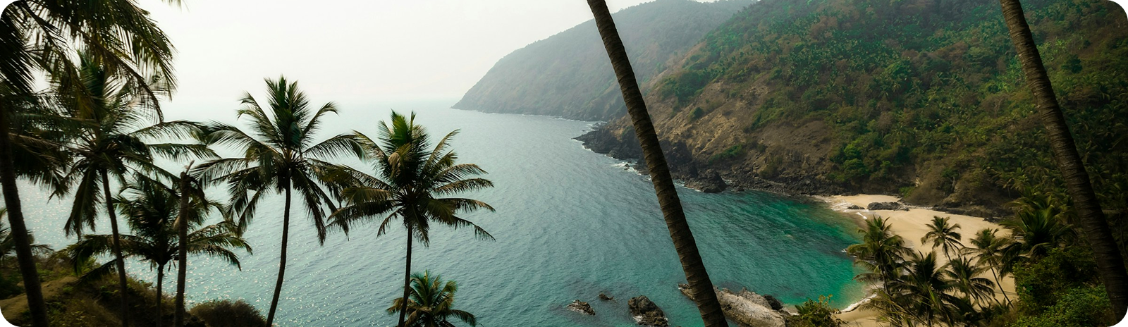 КАКИЕ СЕЙЧАС